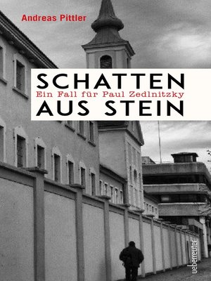 cover image of Schatten aus Stein